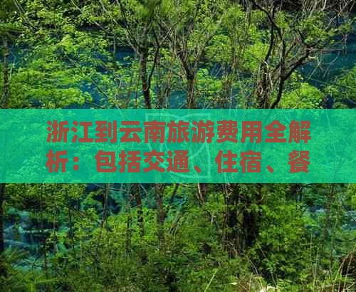 浙江到云南旅游费用全解析：包括交通、住宿、餐饮及景点门票等详细信息