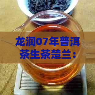 龙润07年普洱茶生茶楚兰：品质、产地、制作工艺及品饮体验全方位解析