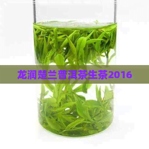 龙润楚兰普洱茶生茶2016