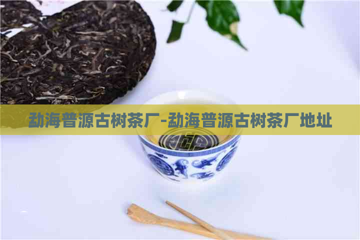 勐海普源古树茶厂-勐海普源古树茶厂地址