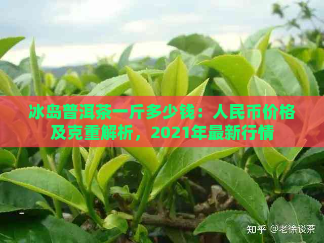 冰岛普洱茶一斤多少钱：人民币价格及克重解析，2021年最新行情