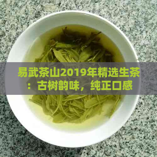 易武茶山2019年精选生茶：古树韵味，纯正口感