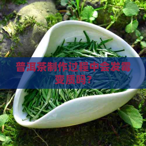 普洱茶制作过程中会发霉变质吗？