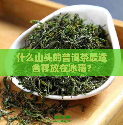 什么山头的普洱茶最适合存放在冰箱？