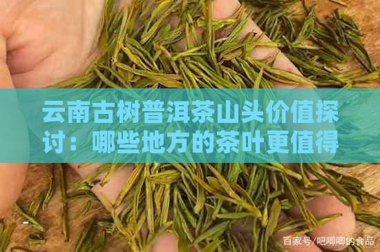 云南古树普洱茶山头价值探讨：哪些地方的茶叶更值得收藏？