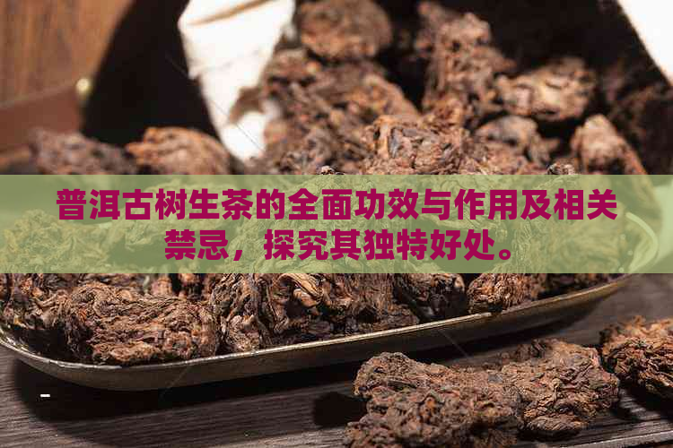 普洱古树生茶的全面功效与作用及相关禁忌，探究其独特好处。