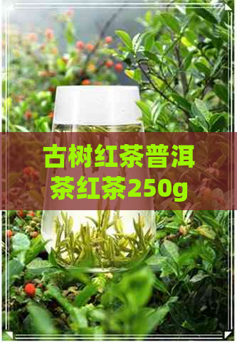 古树红茶普洱茶红茶250g