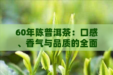 60年陈普洱茶：口感、香气与品质的全面比较，哪款更适合您的口味？