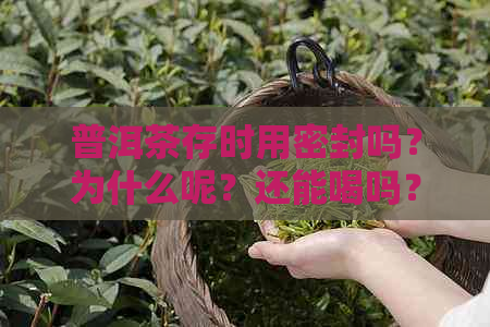 普洱茶存时用密封吗？为什么呢？还能喝吗？