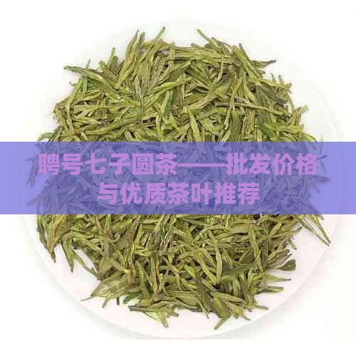 聘号七子圆茶——批发价格与优质茶叶推荐