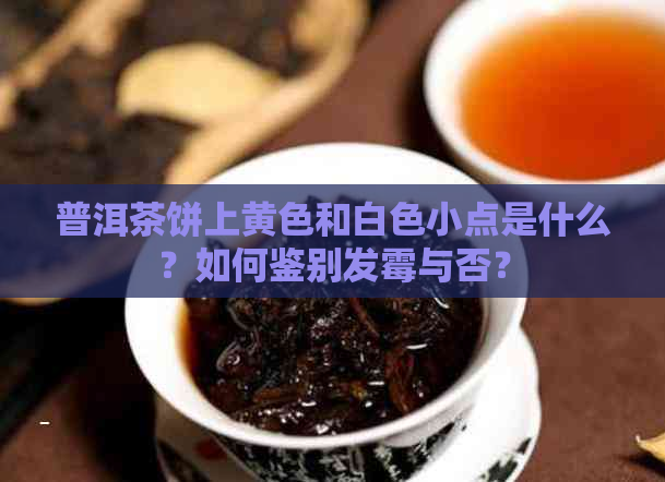 普洱茶饼上黄色和白色小点是什么？如何鉴别发霉与否？