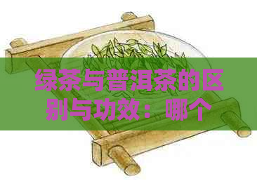 绿茶与普洱茶的区别与功效：哪个更适合你？