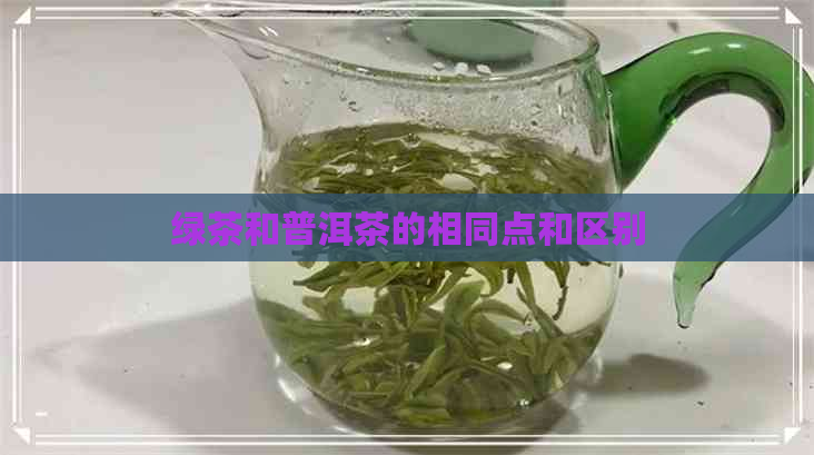 绿茶和普洱茶的相同点和区别