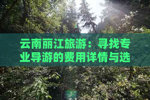 云南丽江旅游：寻找专业导游的费用详情与选择指南