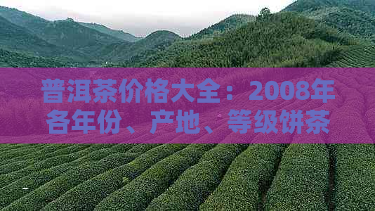 普洱茶价格大全：2008年各年份、产地、等级饼茶价格一目了然