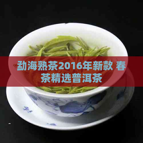 勐海熟茶2016年新款 春茶精选普洱茶