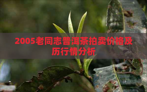 2005老同志普洱茶拍卖价格及历行情分析