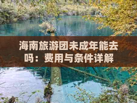 海南旅游团未成年能去吗：费用与条件详解