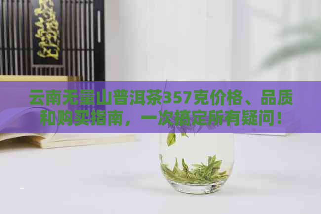 云南无量山普洱茶357克价格、品质和购买指南，一次搞定所有疑问！