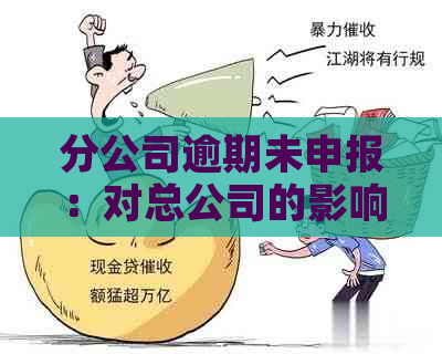 分公司逾期未申报：对总公司的影响及其解决方案全面解析