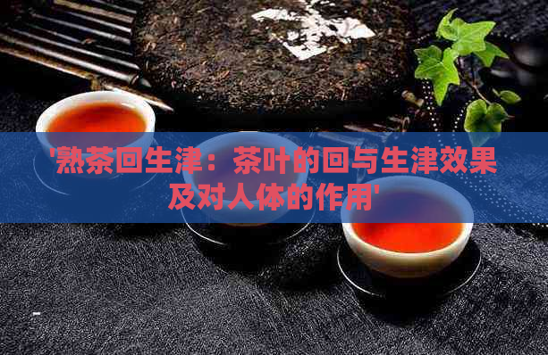 '熟茶回生津：茶叶的回与生津效果及对人体的作用'