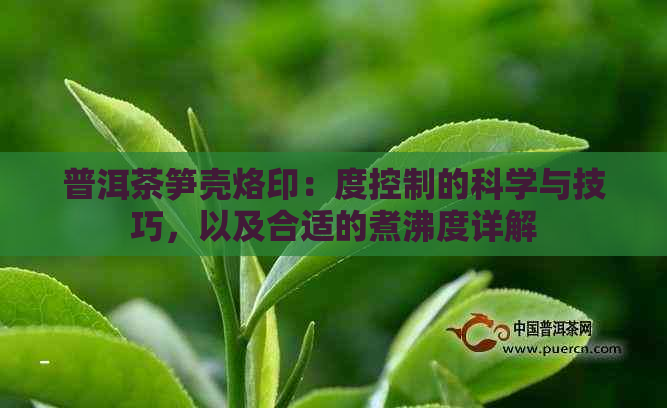 普洱茶笋壳烙印：度控制的科学与技巧，以及合适的煮沸度详解