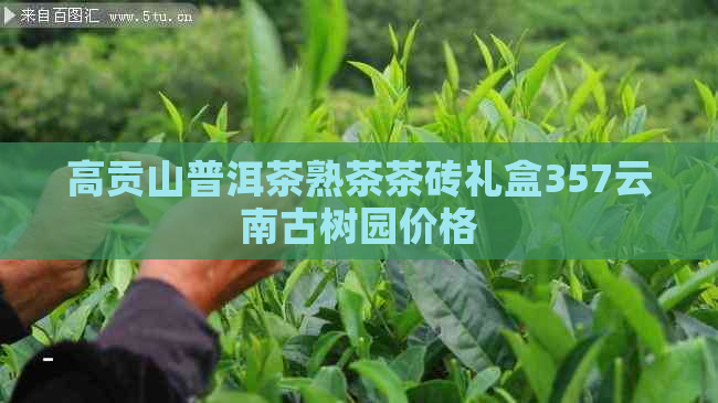 高贡山普洱茶熟茶茶砖礼盒357云南古树园价格