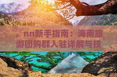 ，nn新手指南：海南旅游团购群入驻详解与技巧分享