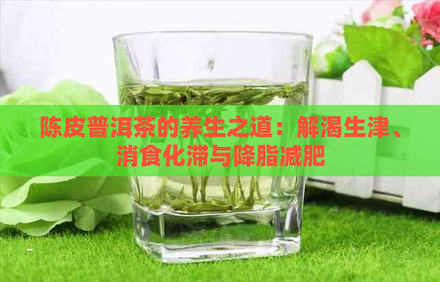 陈皮普洱茶的养生之道：解渴生津、消食化滞与降脂减肥