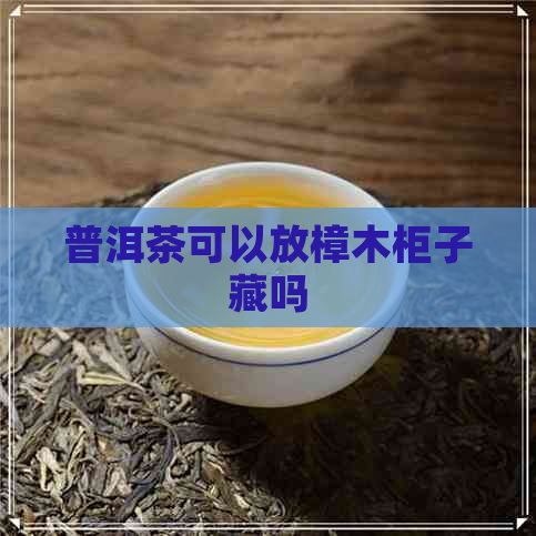 普洱茶可以放樟木柜子藏吗