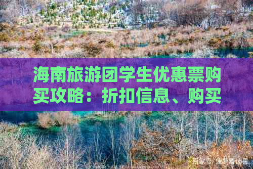 海南旅游团学生优惠票购买攻略：折扣信息、购买渠道与省钱技巧全解析