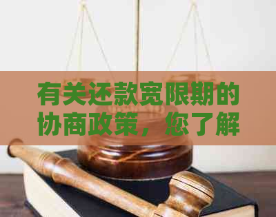 有关还款宽限期的协商政策，您了解多少？是否存在其他还款选择？