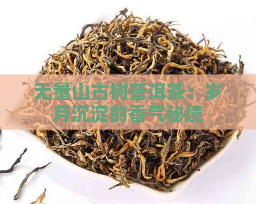 无量山古树普洱茶：岁月沉淀的香气秘境