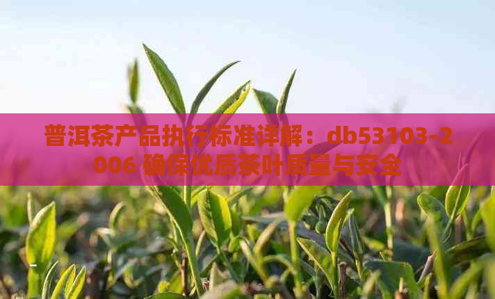 普洱茶产品执行标准详解：db53103-2006 确保优质茶叶质量与安全