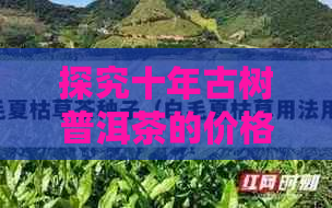 探究十年古树普洱茶的价格及其品质，了解购买建议和市场行情