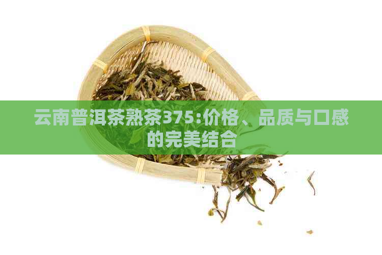 云南普洱茶熟茶375:价格、品质与口感的完美结合