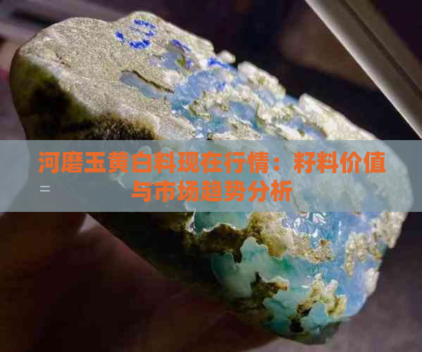 河磨玉黄白料现在行情：籽料价值与市场趋势分析