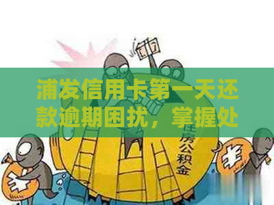 浦发信用卡之一天还款逾期困扰，掌握处理技巧避免后果