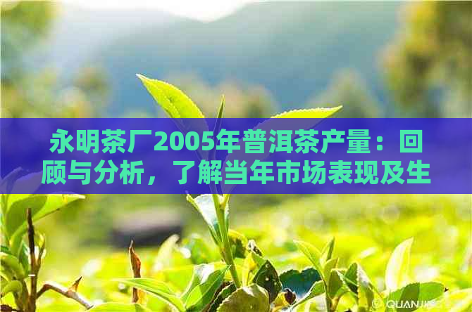 永明茶厂2005年普洱茶产量：回顾与分析，了解当年市场表现及生产情况