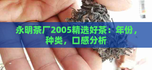 永明茶厂2005精选好茶：年份，种类，口感分析