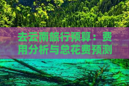 去云南旅行预算：费用分析与总花费预测