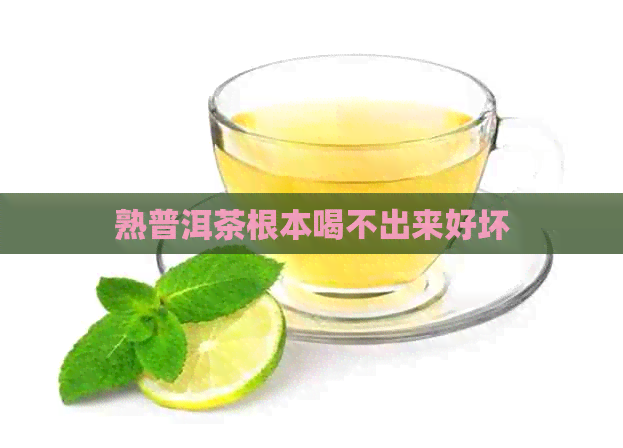 熟普洱茶根本喝不出来好坏