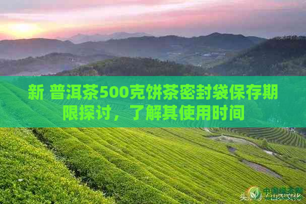 新 普洱茶500克饼茶密封袋保存期限探讨，了解其使用时间