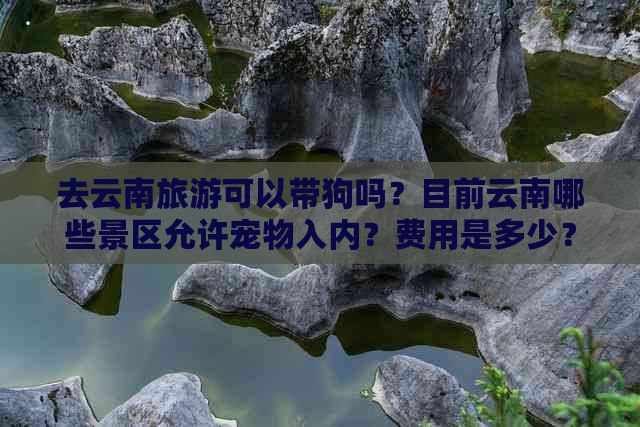 去云南旅游可以带狗吗？目前云南哪些景区允许宠物入内？费用是多少？