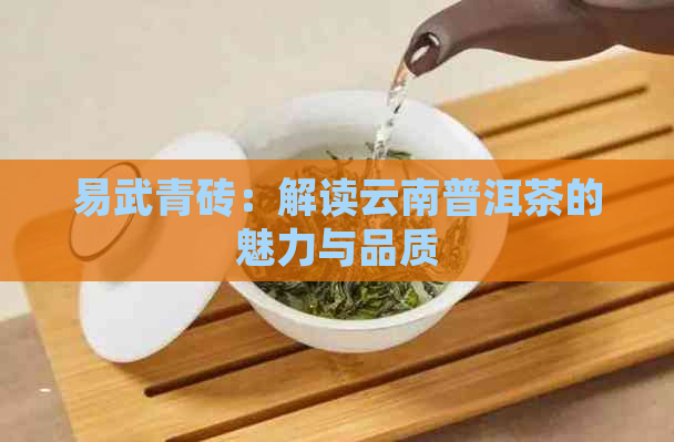 易武青砖：解读云南普洱茶的魅力与品质