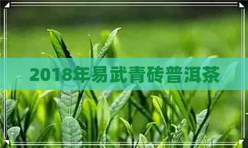 2018年易武青砖普洱茶