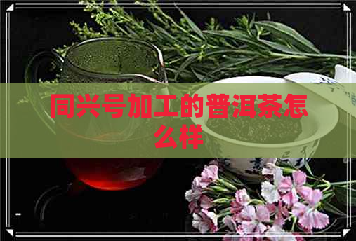 同兴号加工的普洱茶怎么样