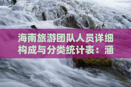 海南旅游团队人员详细构成与分类统计表：涵盖各类游客信息及占比分析