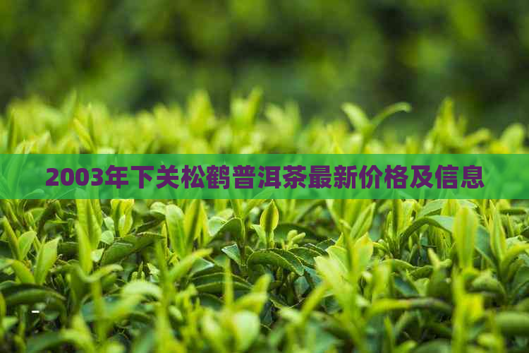 2003年下关松鹤普洱茶最新价格及信息