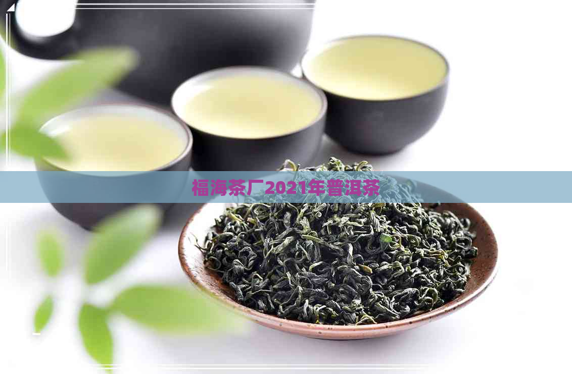 福海茶厂2021年普洱茶